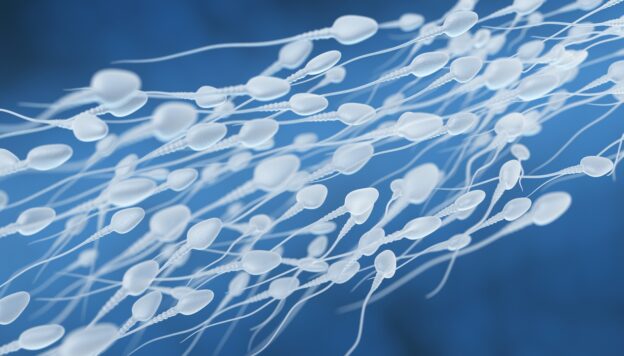 Environmental Factors Affect Sperm Health